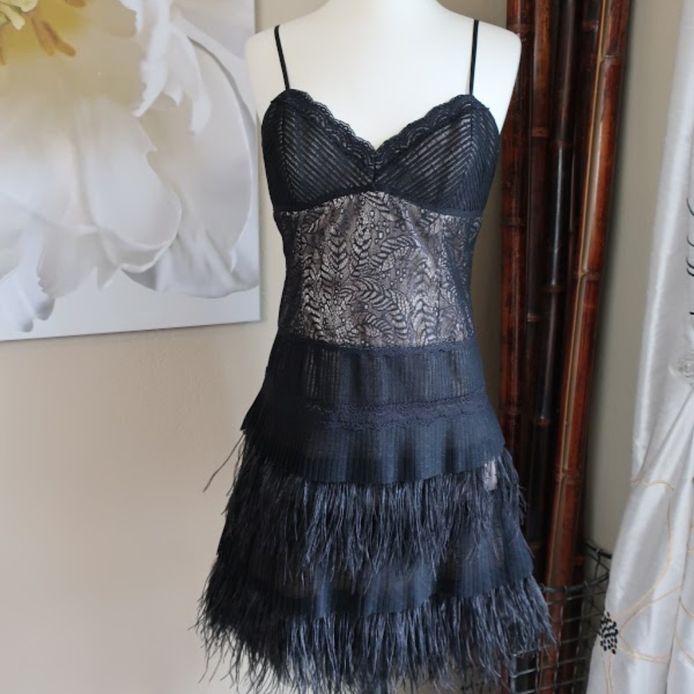 BCBGMaxAzria ~ Feather + Lace Black Dress ~ Size 6